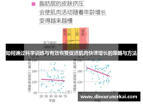 如何通过科学训练与有效恢复促进肌肉快速增长的策略与方法