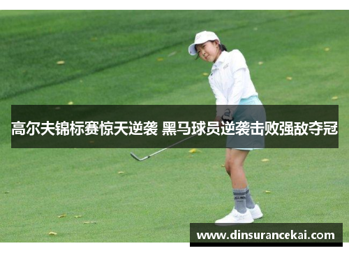 高尔夫锦标赛惊天逆袭 黑马球员逆袭击败强敌夺冠