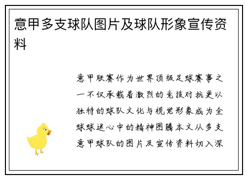意甲多支球队图片及球队形象宣传资料