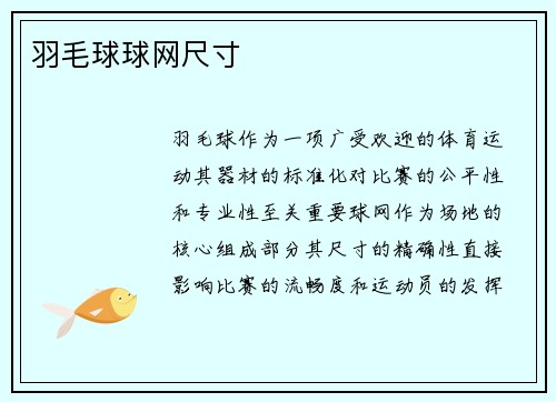 羽毛球球网尺寸